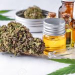 CBD Oil for Dogs: Safe, Effective, and Natural Relief